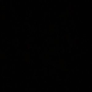 Meet your Posher, Ashlee